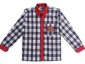 kendriya vidyalaya full shirt